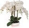 8-Pack Premium White Phalaenopsis | Faux Orchids in 9"x13" Elegant Bowls – Bulk Floral Decor for Events & Offices